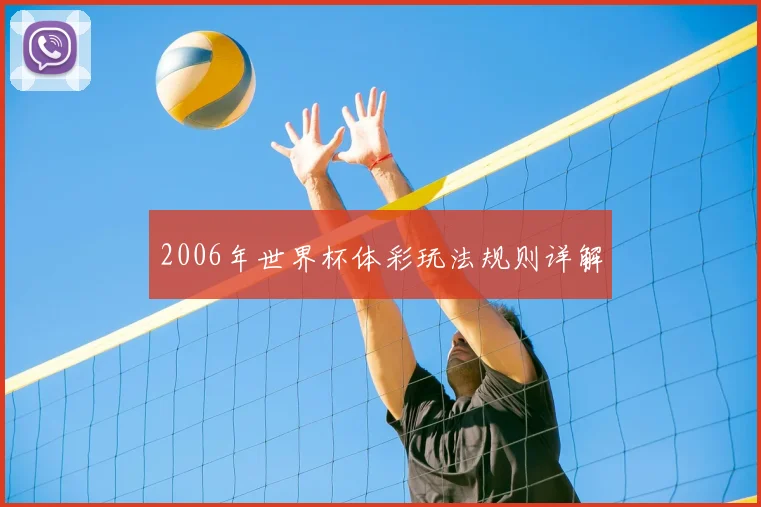 2006年世界杯体彩玩法规则详解
